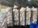 Covid Food Distribution